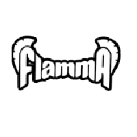 FLAMMA FLAMMA