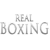 RealBoxing