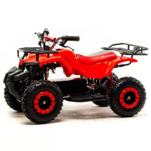 Квадроцикл детский MOTOLAND ATV E008 800Вт