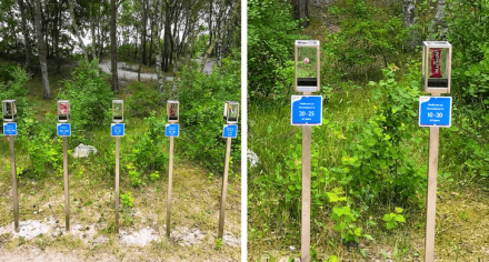 Природные парки: Разложение мусора, фото 1