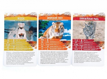 Секреты Планеты. Хищники, фото 1