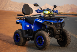 Квадроцикл SHARMAX Hummer 320 RX, фото 20 Квадроцикл SHARMAX Hummer 320 RX, фото 20