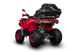 Квадроцикл SHARMAX Hummer 320 RX, фото 7 Квадроцикл SHARMAX Hummer 320 RX, фото 7