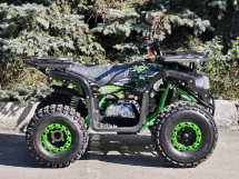Квадроцикл RMOTO Lion 125AR Lite
