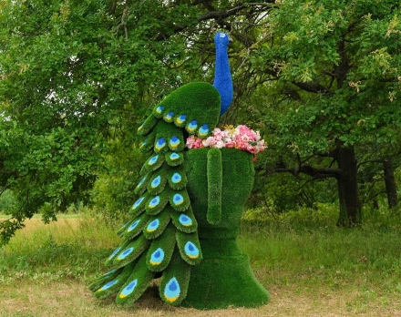 Топиари павлин Корица - газон Premium, фото 1