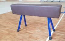 Конь гимнастический прыжковый