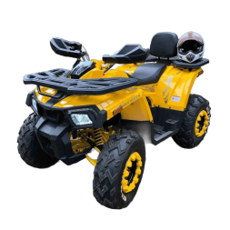 Квадроцикл MOTOLAND 200 Wild Track X, фото 1 Квадроцикл MOTOLAND 200 Wild Track X, фото 1