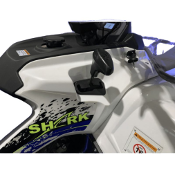 Квадроцикл MOTOLAND Shark 200, фото 9 Квадроцикл MOTOLAND Shark 200, фото 9