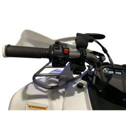 Квадроцикл MOTOLAND Shark 200, фото 7 Квадроцикл MOTOLAND Shark 200, фото 7