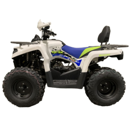 Квадроцикл MOTOLAND Shark 200, фото 4 Квадроцикл MOTOLAND Shark 200, фото 4