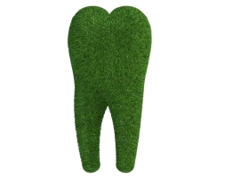 Топиари Зуб, h=150 см - газон Eco, фото 1