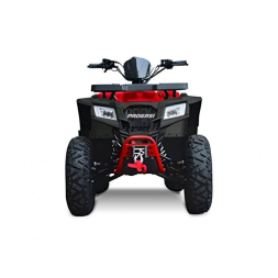 Квадроцикл Progasi Race Jumper 200 Max Power, фото 14 Квадроцикл Progasi Race Jumper 200 Max Power, фото 14