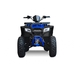 Квадроцикл Progasi Race Jumper 200 Max Power, фото 11 Квадроцикл Progasi Race Jumper 200 Max Power, фото 11