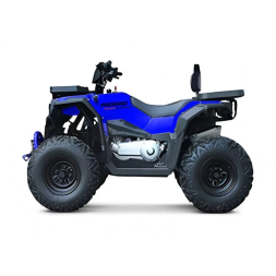 Квадроцикл Progasi Race Jumper 200 Max Power, фото 10 Квадроцикл Progasi Race Jumper 200 Max Power, фото 10