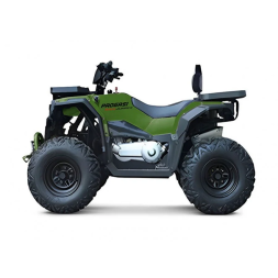 Квадроцикл Progasi Race Jumper 200 Max Power, фото 7 Квадроцикл Progasi Race Jumper 200 Max Power, фото 7