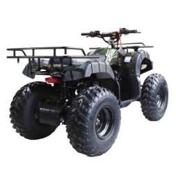 Квадроцикл WELS ATV Thunder 150, фото 3