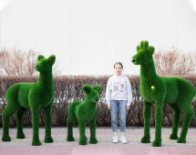 Топиари композиция Косули - газон Deluxe Топиари композиция Косули - газон Deluxe