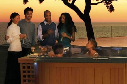 спа-бассейн Sundance Spas Dover, фото 4