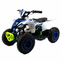 Квадроцикл детский MOTOLAND ATV E010 1000Вт