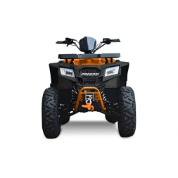 Квадроцикл Progasi Race Jumper 200 SE, фото 5 Квадроцикл Progasi Race Jumper 200 SE, фото 5