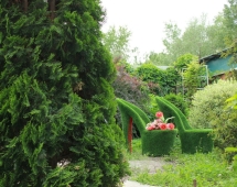 Топиари вазон Туфелька принцессы - газон Eco Топиари вазон Туфелька принцессы - газон Eco