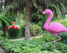 Топиари вазон Туфелька принцессы - газон Eco Топиари вазон Туфелька принцессы - газон Eco