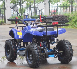 Квадроцикл RAPTOR Max Pro 49cc (2024), фото 3