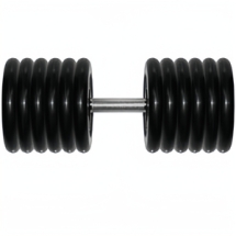 Гантель 51 кг черная неразборная