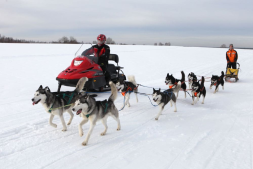 Снегоход РМ Тайга Варяг 550 V, фото 9