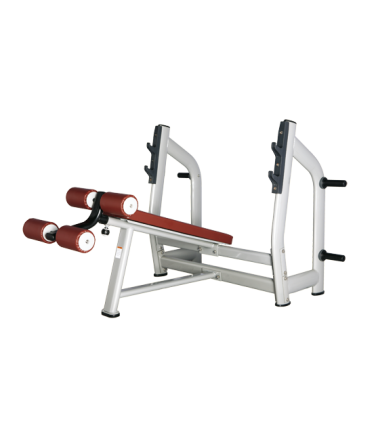 BRONZE GYM H-024_C Скамья для жима с отрицательным наклоном, фото 1