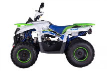 Квадроцикл ROCKOT Hammer 200 Premium