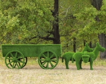Топиари композиция Ослики с телегой - газон Eco Топиари композиция Ослики с телегой - газон Eco
