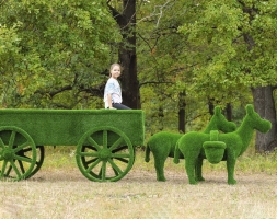 Топиари композиция Ослики с телегой - газон Eco, фото 4