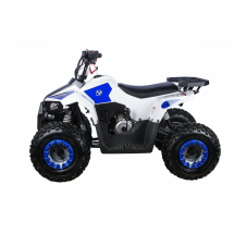 Квадроцикл детский YACOTA RAPOSA