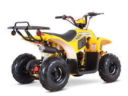 Квадроцикл SHARMAX 130 Cross, фото 9 Квадроцикл SHARMAX 130 Cross, фото 9