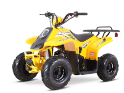 Квадроцикл SHARMAX 130 Cross, фото 7 Квадроцикл SHARMAX 130 Cross, фото 7