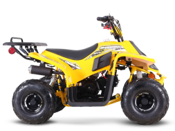 Квадроцикл SHARMAX 130 Cross, фото 4 Квадроцикл SHARMAX 130 Cross, фото 4