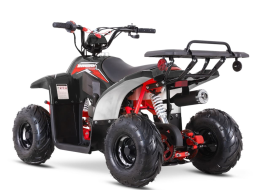 Квадроцикл SHARMAX 130 Cross, фото 2 Квадроцикл SHARMAX 130 Cross, фото 2