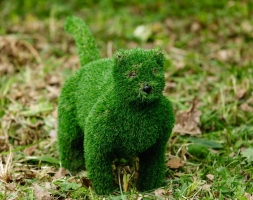 Топиари кот Барсик - газон Eco, фото 1
