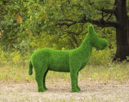 Топиари ослик Томми, без кашпо - газон Eco, фото 1