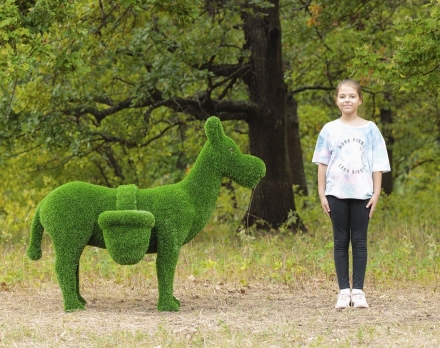 Топиари ослик Томми, без кашпо - газон Eco, фото 6