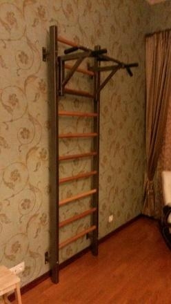 Шведская стенка комбинированная Гибрид-ТБ-СПШ, фото 13