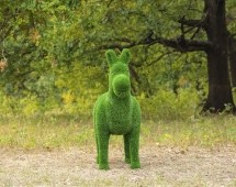 Топиари ослик Томми, с кашпо - газон Eco Топиари ослик Томми, с кашпо - газон Eco