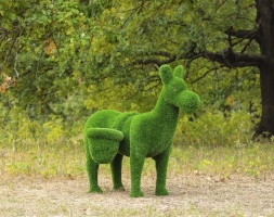 Топиари ослик Томми, с кашпо - газон Eco, фото 1