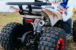 Квадроцикл SHARMAX Cross 180, фото 19 Квадроцикл SHARMAX Cross 180, фото 19