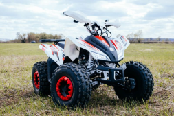 Квадроцикл SHARMAX Cross 180, фото 17 Квадроцикл SHARMAX Cross 180, фото 17