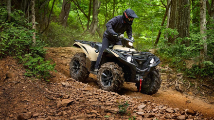 Квадроцикл YAMAHA Grizzly 700 EPS SE (ПСМ), фото 15