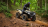 Квадроцикл YAMAHA Grizzly 700 EPS SE (ПСМ)