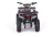 Квадроцикл MOTAX Grizlik X16 (PS)