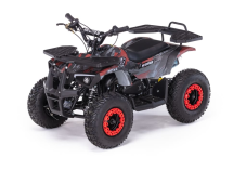 Квадроцикл MOTAX Grizlik X16 (PS)